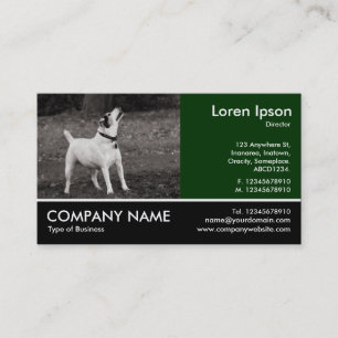 Carte De Visite Photo Pied - Chien Agog