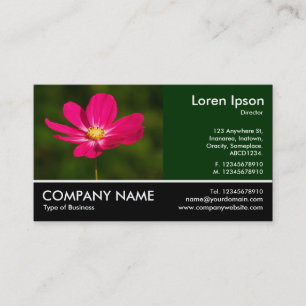 Carte De Visite Photo Pied - Cosmos Rose