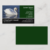 Carte De Visite Photo Pied - Cygne muet (Devant / Derrière)