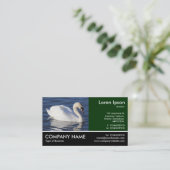 Carte De Visite Photo Pied - Cygne muet (Debout devant)