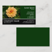 Carte De Visite Photo Pied - Dahlia 'David Howard' (Devant / Derrière)