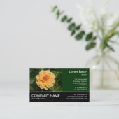 Carte De Visite Photo Pied - Dahlia 'David Howard' (Debout devant)