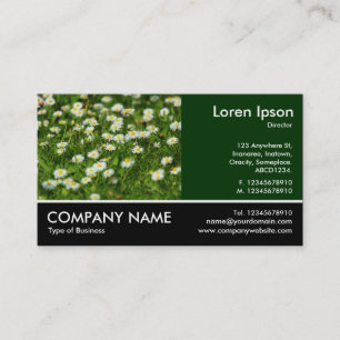 Carte De Visite Photo Pied - Daisy Meadow