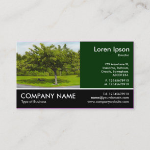 Carte De Visite Photo Pied - Dk Green - L'été dans le parc (Doul