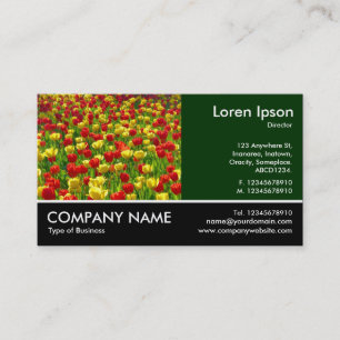 Carte De Visite Photo Pied - Dk Green - Mer des Tulipes