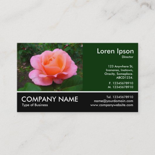 Carte De Visite Photo Pied - Dk Green - Rose rose (Devant)