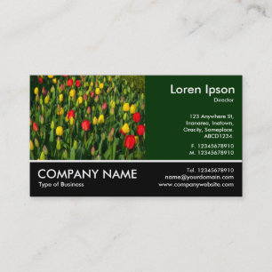 Carte De Visite Photo Pied - Dk Green - Tulipes colorées