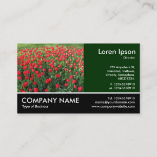 Carte De Visite Photo Pied - Lit de Rouges Tulipes 01