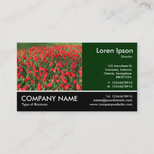 Carte De Visite Photo Pied - Lit de Rouges Tulipes 02