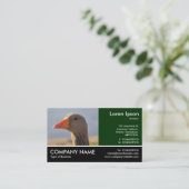 Carte De Visite Photo Pied - Oie Inquistive (Debout devant)