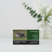 Carte De Visite Photo Pied - Oies grises (Debout devant)