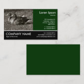 Carte De Visite Photo Pied - Oies grises (Sepia) (Devant / Derrière)