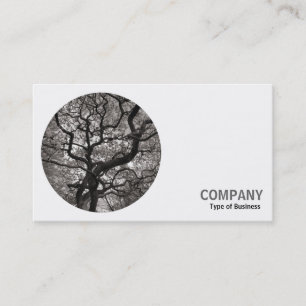 Carte De Visite Photo Rond - Arbre d'érable japonais