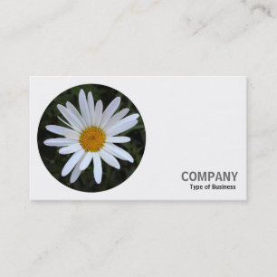 Carte De Visite Photo Rond - Marguerite Blanche 03