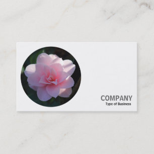 Carte De Visite Photo ronde - Camellia rose