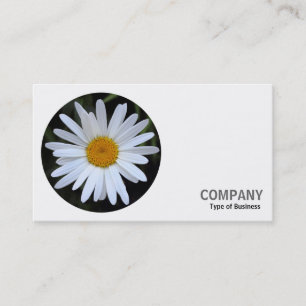 Carte De Visite Photo ronde - White Daisy 01
