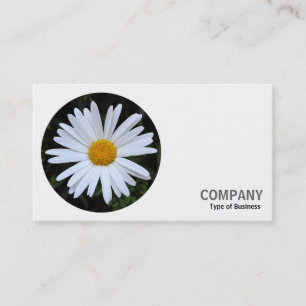 Carte De Visite Photo ronde - White Daisy 04