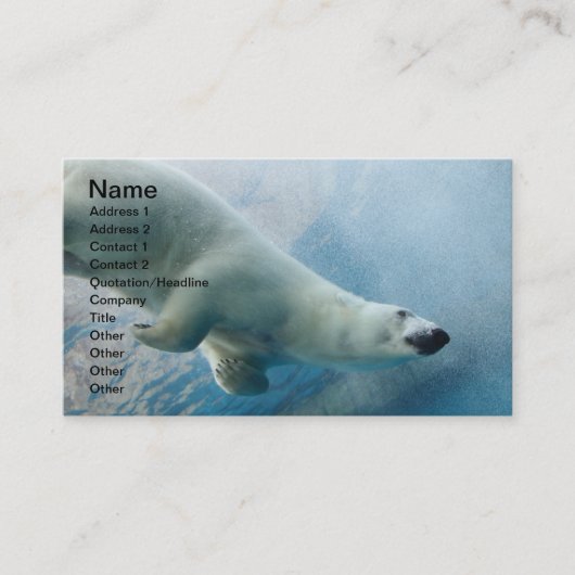 Carte De Visite Photo sous-marine d'un ours blanc (Devant)