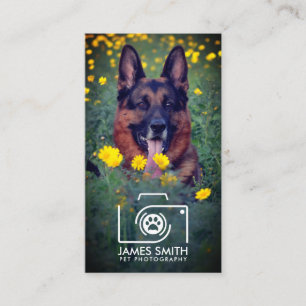 Carte De Visite Photographe animal - Photographie animale
