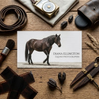 Photographe Équin Cheval Brun Élégant Entreprise