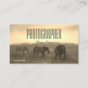 Carte De Visite Photographie de Paint Safari Sunset Photographe