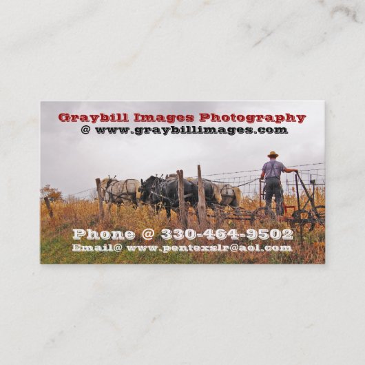 Carte De Visite Photographie d'images de Graybill (Devant)