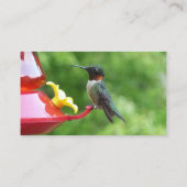Carte De Visite Photographie d'oiseau de colibri à gorge rubis (Dos)