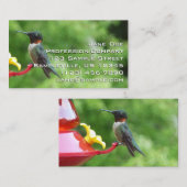 Carte De Visite Photographie d'oiseau de colibri à gorge rubis (Devant / Derrière)