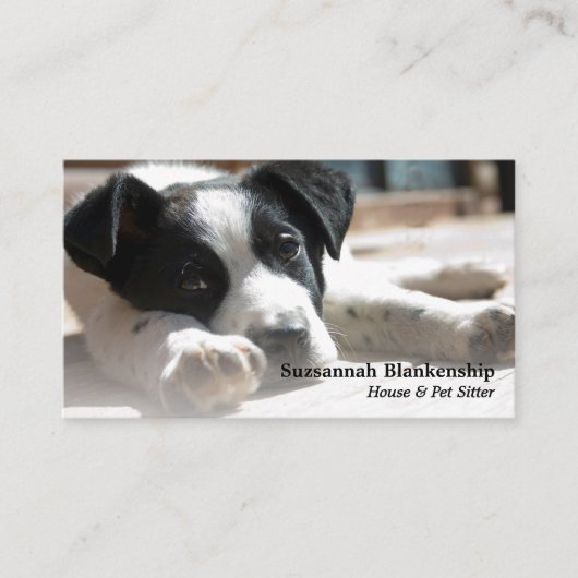 Carte De Visite Photographie et code QR remplaçables par chiot (Devant)