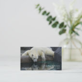 Carte De Visite Photographie Ours Polar (Debout devant)