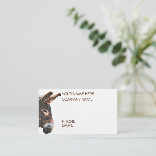 Carte De Visite Pic de Sneak (Debout devant)