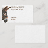 Carte De Visite Pic de Sneak (Devant / Derrière)