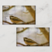 Carte De Visite Pickadee (Devant / Derrière)