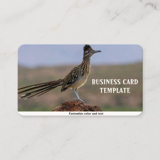 Carte De Visite Picture Nature Desert Bird Roadrunner (Devant)