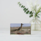 Carte De Visite Picture Nature Desert Bird Roadrunner (Debout devant)
