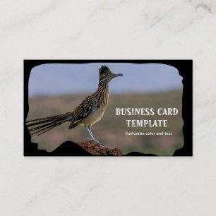 Carte De Visite Picture Nature Desert Bird Roadrunner
