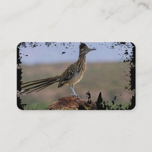Carte De Visite Picture Nature Desert Bird Roadrunner (Devant)