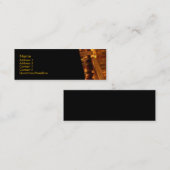 Carte de visite Pièces d'or (Devant / Derrière)