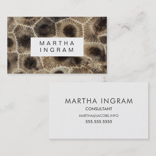 Carte De Visite Pierre de Pierre de Petoskey moderne Conception de (Devant / Derrière)