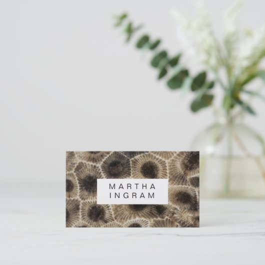 Carte De Visite Pierre de Pierre de Petoskey moderne Conception de (Debout devant)