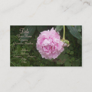 Carte De Visite Pies roses