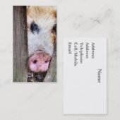 CARTE DE VISITE PIG (Devant / Derrière)
