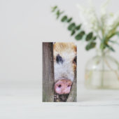 CARTE DE VISITE PIG (Debout devant)