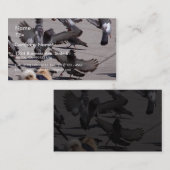 Carte De Visite Pigeon (Devant / Derrière)