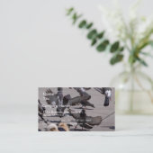 Carte De Visite Pigeon (Debout devant)