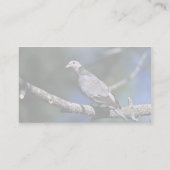 Carte De Visite pigeon Bande-coupé la queue (Dos)