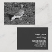 Carte De Visite ‎Pigeon BW (Devant / Derrière)
