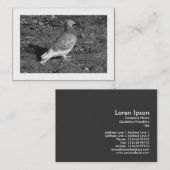 Carte De Visite Pigeon BW (frontière) (Devant / Derrière)