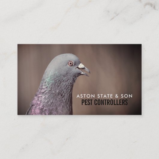 Carte De Visite Pigeon De Bois, Lutte Antiparasitaire (Devant)