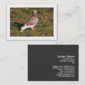 Carte De Visite Pigeon (frontière) (Devant / Derrière)